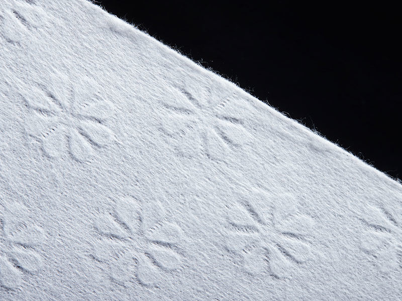 Spunlace Bunga Poliester HK Untuk Pelapis