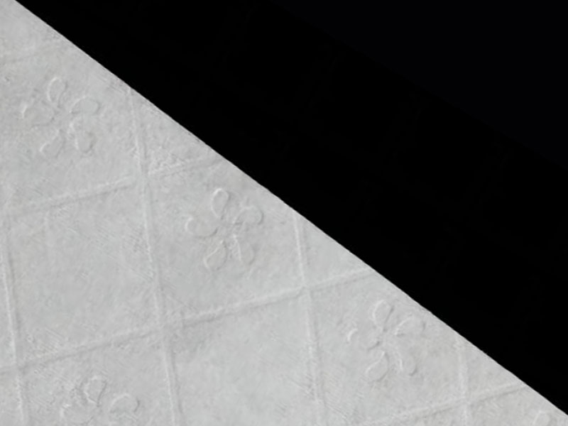 Kain Viscose/Pulp Flushable Untuk Kertas Toilet